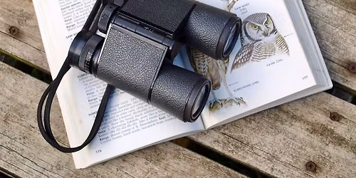 Birding - Silver Beach Waterfowl Watch