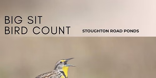 Big Sit Bird Count