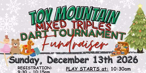 annual toy mountain fundraiser 