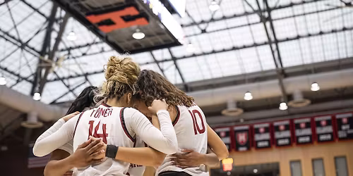 Harvard Crimson at Arkansas Razorbacks Womens Basketball