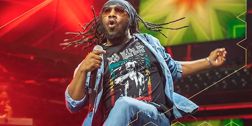 Bob Marley Tribute door Rootsriders ft Mo Ali | Effenaar