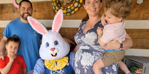 The Easter Bunny is Coming \u2728\ufe0f\ud83e\udd55