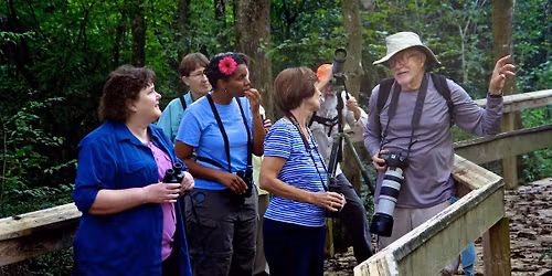 Swamp Art Show Field Days