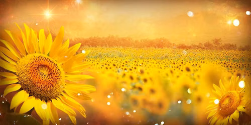 Litha Ritual ~ Summer Solstice & Feast