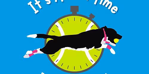 It\u2019s About Time Flyball Tournament 