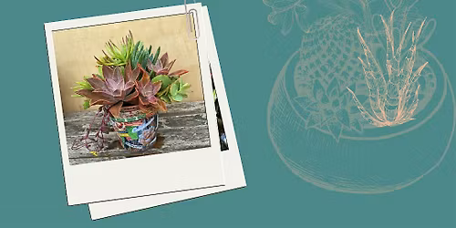 1\/24: Vision Planter Succulent Workshop