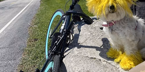 Pedal + Pose