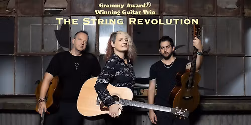 The String Revolution Live at Boulevard Music