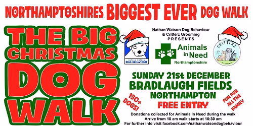 The BIG Christmas Dog Walk for Animals In Need 2025