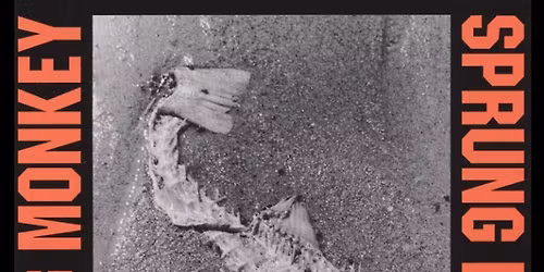  Sprung Monkey 10 Year Anniversary Show PLUS \u201cSituation Life\u201d Full Album Play 