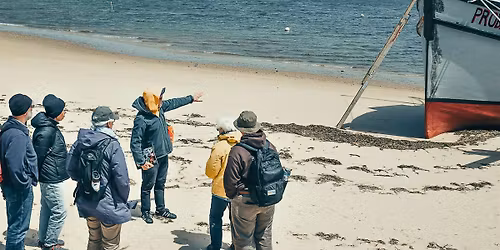 Ecosystems & Imagination | Provincetown Harbor Walk with Mark Adams