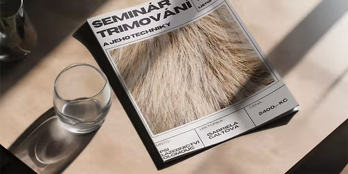 Semin\u00e1\u0159 trimov\u00e1n\u00ed a jeho techniky