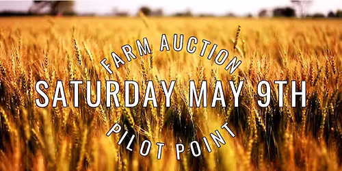 AUCTION - PILOT POINT