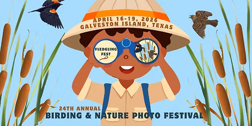 FledglingFest