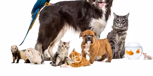 Blessing of the Animals
