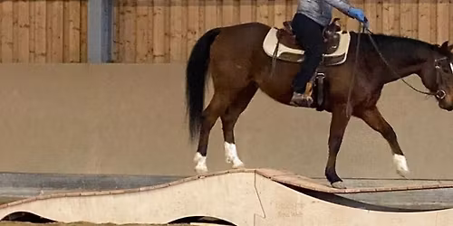 Extreme Trail in der Halle mit Andraz Obermeier
