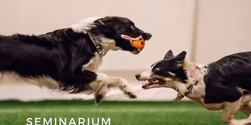 Seminarium obedience - Joanna Hewelt i Magdalena Stodu\u0142ko - \u0141\u00f3d\u017a