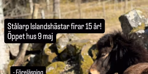 \u00d6ppet hus St\u00e5larp Islandsh\u00e4star 