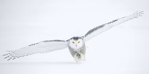 Field Trip: New Years Day in Kent County