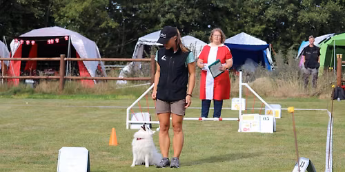 Fokus er motivation, kontakt og engagement i Fri Ved Fod - ved Michelle Pedersen -13 december kl 131