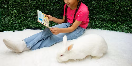 Mini Bunny Photo Session