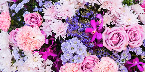 April FREE Event - Bloom Where You Are Planted