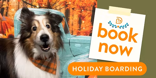 Holiday Boarding * All Month long!!