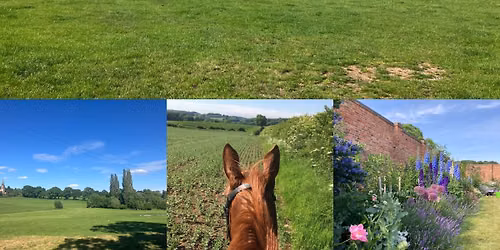 Dunstall Estate Ride