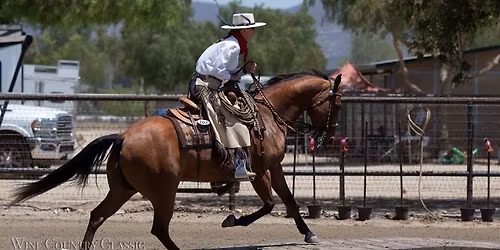 ***FULL*** RDVC Working Equitation Schooling Show