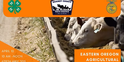 Animal Nutrition Day: Feeding your Livestock Project