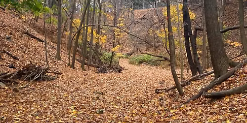 Fall Foliage Hike