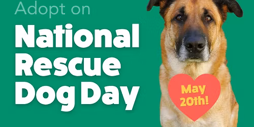 National Rescue Dog Day - Adoption Event