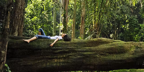 FOREST BATHING & COMMUNITY - \u68ee\u6797\u6d74, \u68ee\u6797 