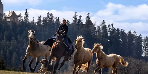 \ud83c\udf41 Podzimn\u00ed kurz u Jind\u0159ichova Hradce s Denisou Drake