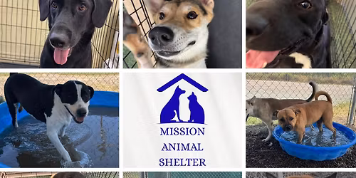 Mission Mega Adoption Event 