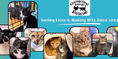 CAR's sale & raffle at Trinity Lutheran's 45th annual craft fair