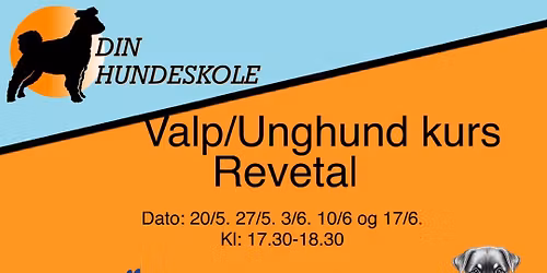 Valp\/unghundkurs Revetal onsdager