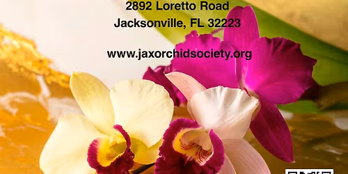 Jacksonville Orchid Show & Sale