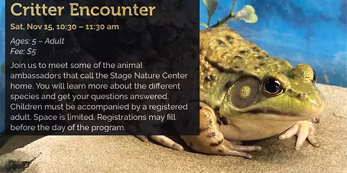 Critter Encounter