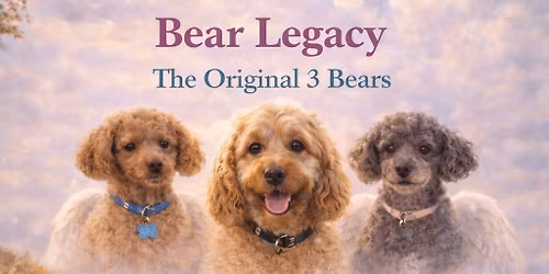 \ud83d\udc3e Bailey\u2019s Walk \u2013 Celebrating Dogs Who Change Lives