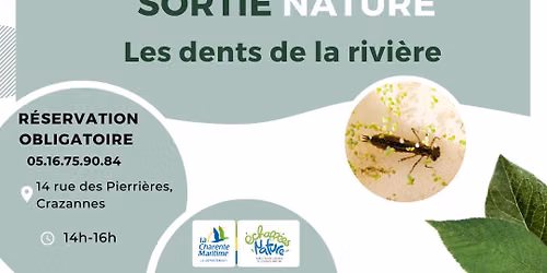 Les dents de la rivi\u00e8re