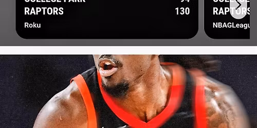 NBA COLLEGE PARK SKY HAWKS GAME