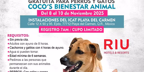 6ta Campa\u00f1a de Esterilizaci\u00f3n Gratuita Coco's Nov 2025