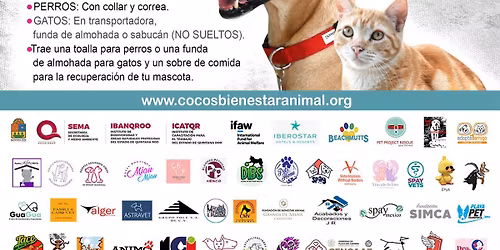 6ta Campa\u00f1a de Esterilizaci\u00f3n Gratuita Coco's Nov 2025