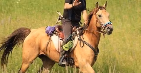 Intro to Endurance Mock Ride & Discussion