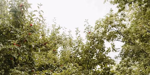 Wedding social in honour of Alex and Nicole