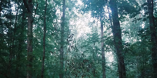 Celer (US) | XCES VR set (SK) @ A4