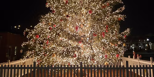 Como Park parkrun Event #19