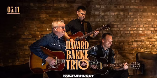 H\u00e5vard Bakke Trio \/\/ Drammen kulturhus