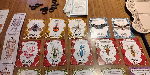 Sugar Land Tabletop Board Game Meetup